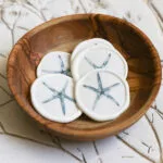 Starfish Wax Seals - Image 3